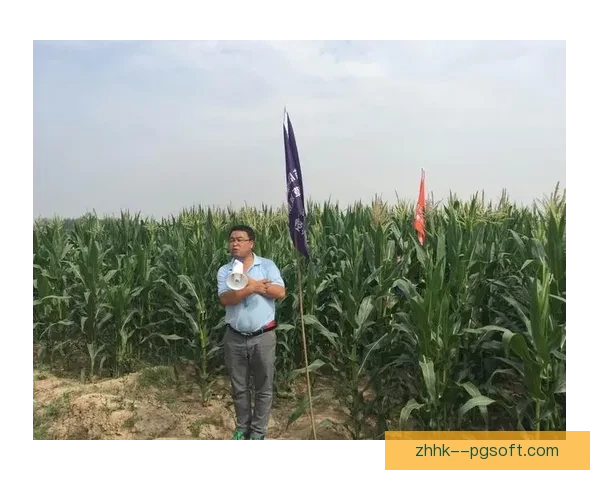 张琳艳回归国内联赛效力 强势回归助力球队重塑辉煌
